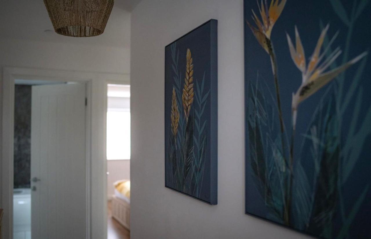 The Red House Modern Stylish Home From Home Walking Distance To Cardiff Bay And City Centre With Parking Εξωτερικό φωτογραφία